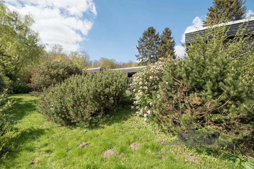 Immobilienangebot - Königstein im Taunus / Falkenstein - Alle - Einfamilienhaus mit Potenzial in begehrter Lage von Königstein-Falkenstein - provisionsfrei!