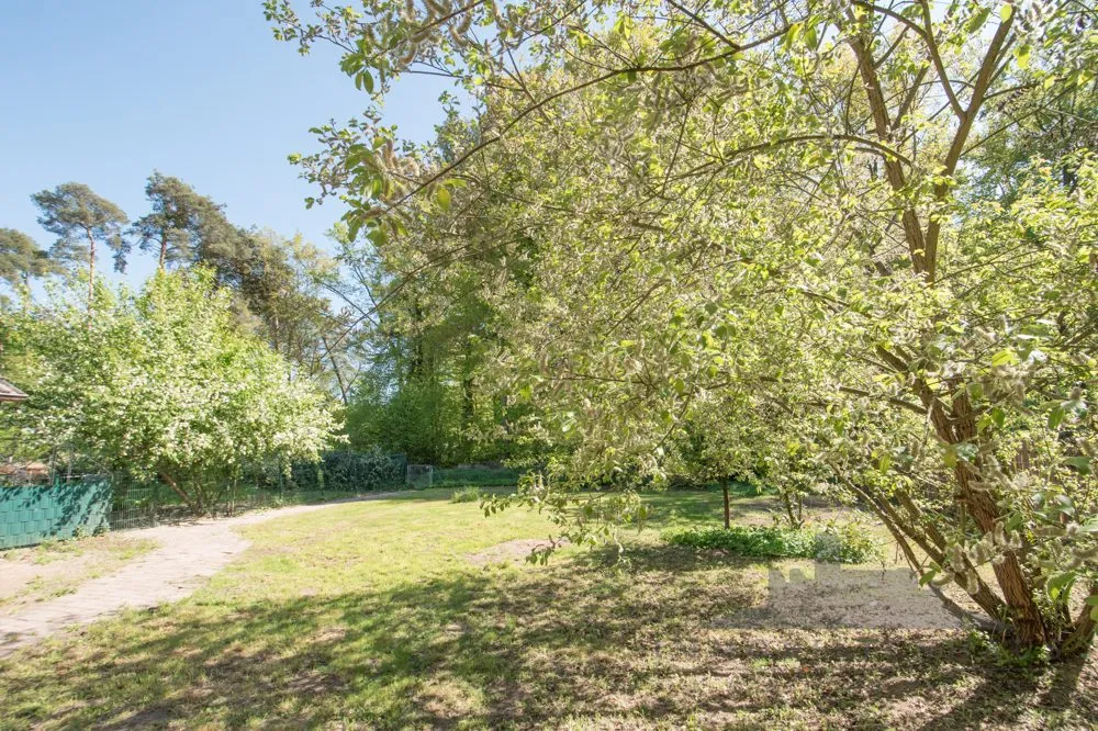 Immobilienangebot - Langen - Grundstücke - Traumgrundstück in bester Waldrandlage von Langen - provisionsfrei
