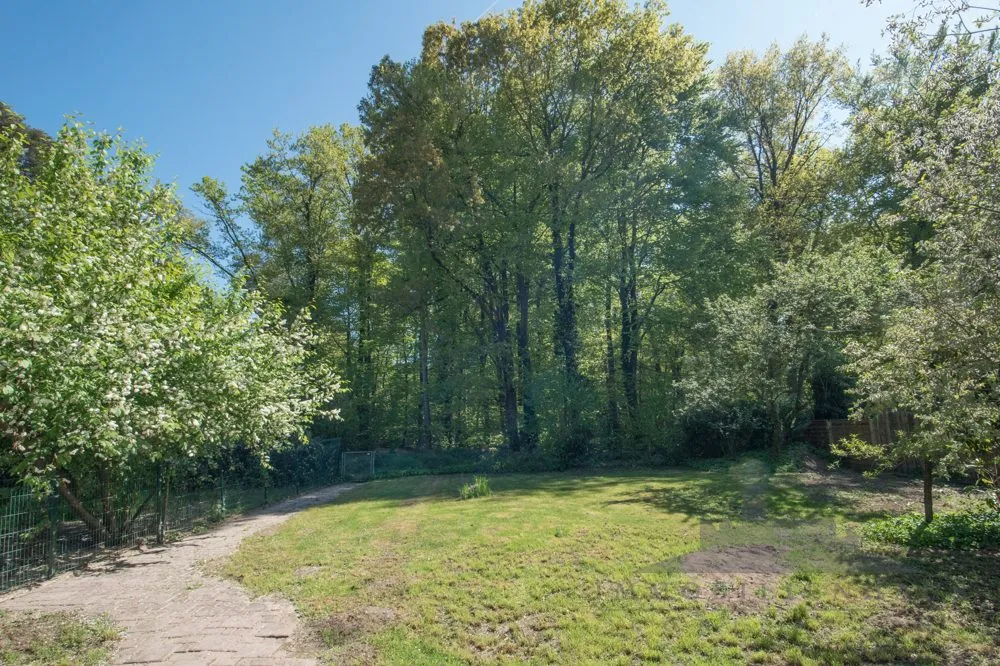 Immobilienangebot - Langen - Grundstücke - Traumgrundstück in bester Waldrandlage von Langen - provisionsfrei